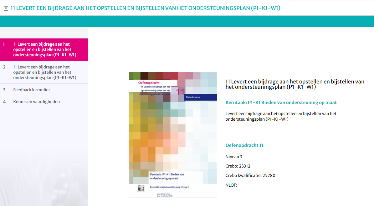 Beroepsopdrachten MZ - Begeleider maatschappelijke zorg